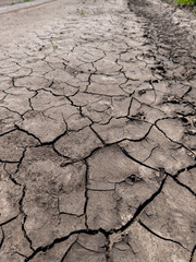 A dirt road with cracks in the ground