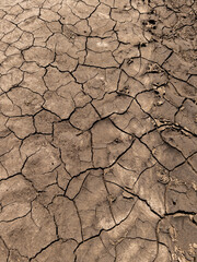 A dry cracked ground in the middle of nowhere