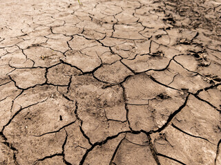 A dry cracked ground in the middle of a desert