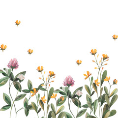 Watercolor hand-drawn floral frame with summer flowers, clover and buttercup wildflowers. Perfect for product and web design, cards, invitations, banners