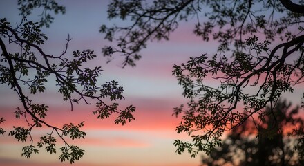 Rolling hills under vibrant purple-orange sunset