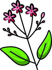 vector illustration of pink flowers