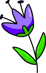 purple tulip flower illustration