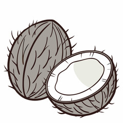 coconut on a white background