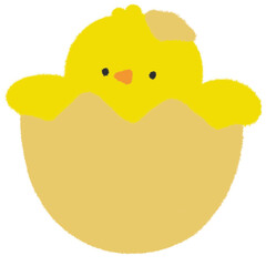 병아리