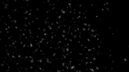 Snow Overlay Video Animation On Black For Video Editing Projects