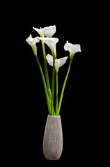 vaso con fiori ,calle
