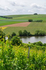Pattern of rural fields located by the river Neckar near Stuttgart in Baden Württemberg Germany