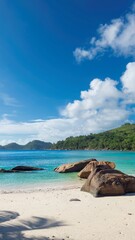 tropical beach with turquoise water