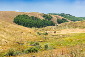 landscape with hills and trees
