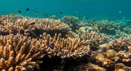 Vibrant Underwater Coral Reef with Colorful Fish