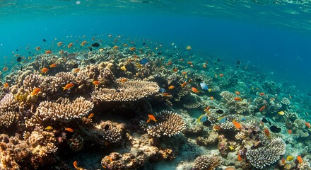 Vibrant Underwater Coral Reef with Colorful Fish