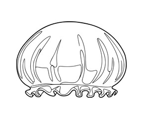 Shower Cap Line Art
