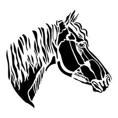 Vector horse head black silhouette isolated illustration