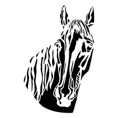 Black horse head in profile isolated vector illustration