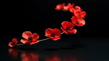 Red poppy flowers on black background remembrance day floral design