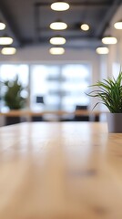Close up shot of a plant in a pot on a wooden table with lights and blurred background inside