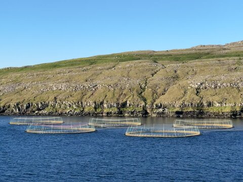 Faroese salmon farms with working boats near the cliffs, reflecting the island&rsquo;s deep connection to fishing and coastal living.