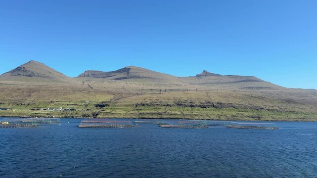 Salmon cages float in a Faroese fjord, a workboat gliding past verdant terraced hills and stark peaks, illustrating sustainable fish farming in the North Atlantic summer sun.