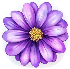 Watercolor purple flower clipart, on a white background