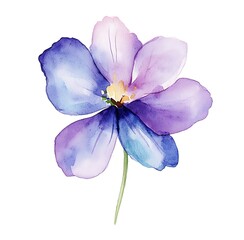 Watercolor purple flower clipart, on a white background