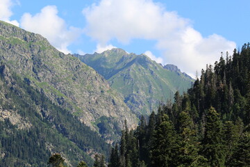 mountain peaks of the North Caucasus in Dombay on a sunny summer day