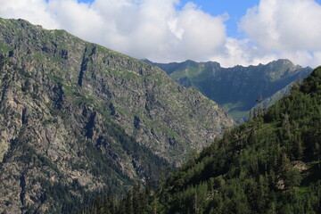 Obraz premium coniferous forested slopes of the caucasian mountains in dombai midsummer