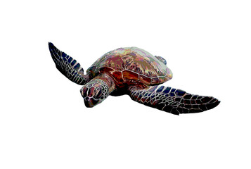 Realistic Green turtle isolated illustration