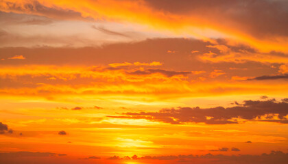 Vibrant Sunset with Orange and Pink Sky over Silhouetted Trees