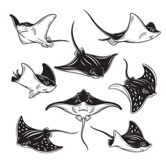 Collection of stingrays and manta rays in black and white vector style. Various swimming poses, perfect for ocean themed art, tattoos, or logos. Fish, Animals.