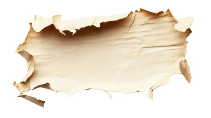 Ragged Hole Torn Horizontally on White Background – Realistic Paper Rip or Tear Effect for Design, Texture, and Background Concepts