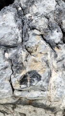The texture of the rocks with natural cracks depicts solidity.