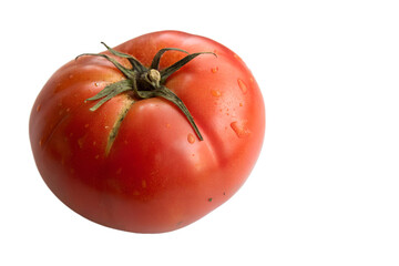 A single ripe tomato with green stem isolated on transparent background