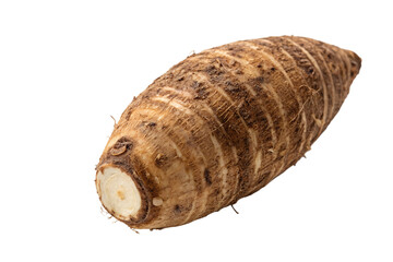 One single taro root close up view isolated on transparent background