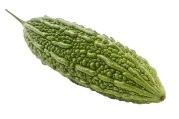 A bumpy gourd on a featureless area isolated on transparent background