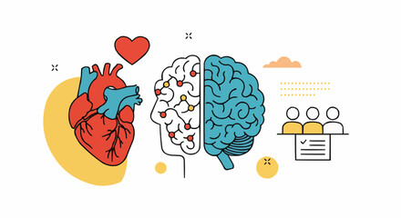 vector illustration of a human heart
