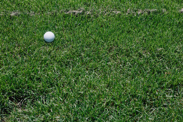 Close-up of perfectly manicured grass on golf course, vibrant green turf symbolizing precision, sport maintenance, and outdoor leisure environments