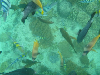 Bali and Singapore 2 
