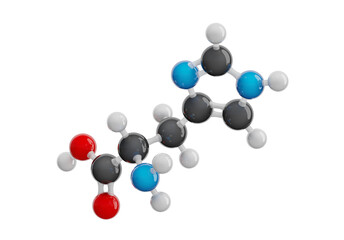 Histidine (His) molecule isolated on transparent background. Essential amino acid. Molecular formula: C6H9N3O2. Chemical model: Ball and stick. 3D illustration.