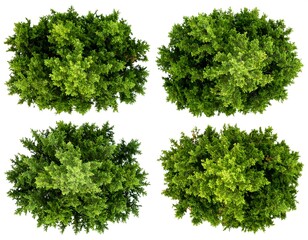 Four overhead views of lush green trees