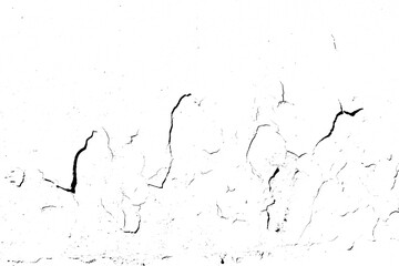 Peeling paint stamp PNG transparent background