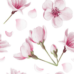 Seamless pattern with pink sakura flowers. Cherry blossom. Small pink buds and petals. Watercolor illustration without background. Hand drawn.