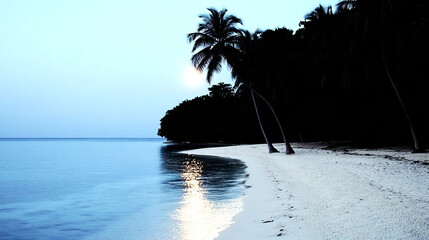 A serene, tropical beach at dusk. Calm ocean waters meet the sandy shore, reflecting the moonlight. Palm trees line the beach, creating a silhouette against the sky