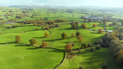 Aerial autumn view of endless lush pastures and farmlands of England. Beautiful English countryside with emerald green fields and meadows. Rural landscape on sunset. United Kingdom. - Powered by Adobe