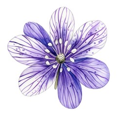 Wild flower illustration watercolor vibrant.