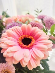 pink gerber flowers