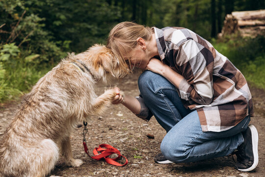 Person kneeling on a forest path, interacting with a dog, showcasing a bond between human and pet in a natural outdoor setting