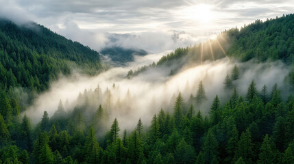Majestic forest landscape with misty valleys and sunlight breaking through clouds