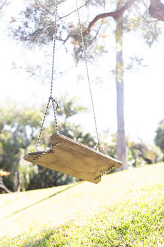 Empty wooden and rope swing hanging from a tree