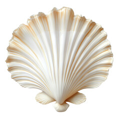 Isolated white and golden seashell with intricate details on a white background